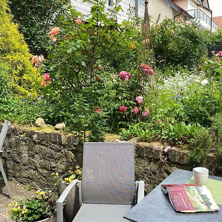 Reisekultouren Apartments Detmold Esterno foto