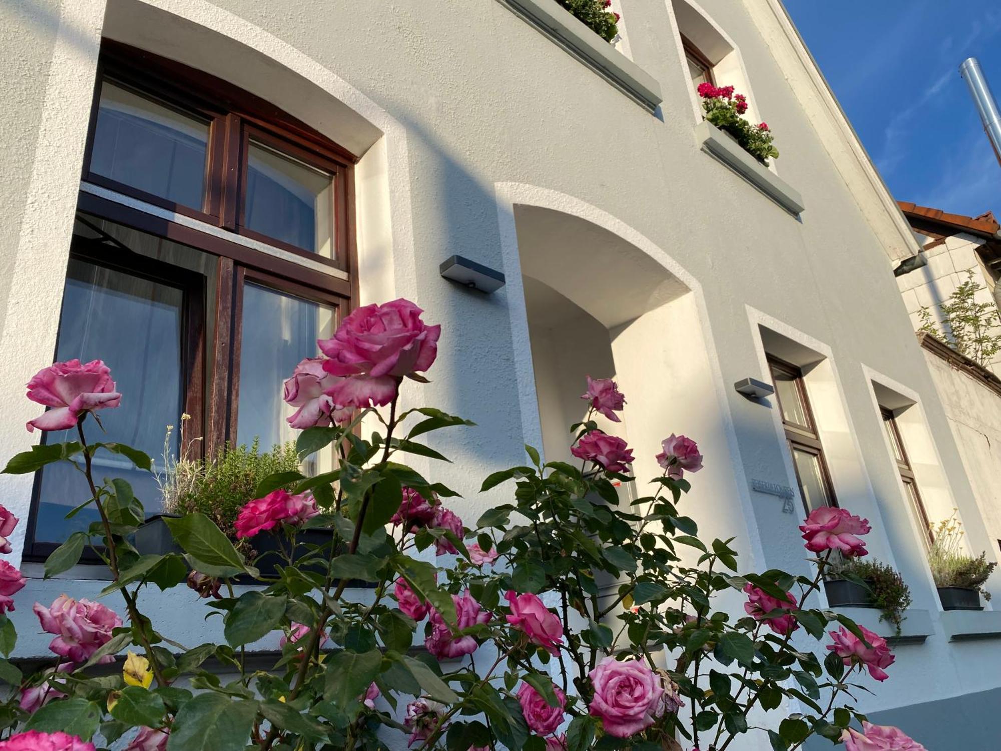 Reisekultouren Apartments Detmold Esterno foto