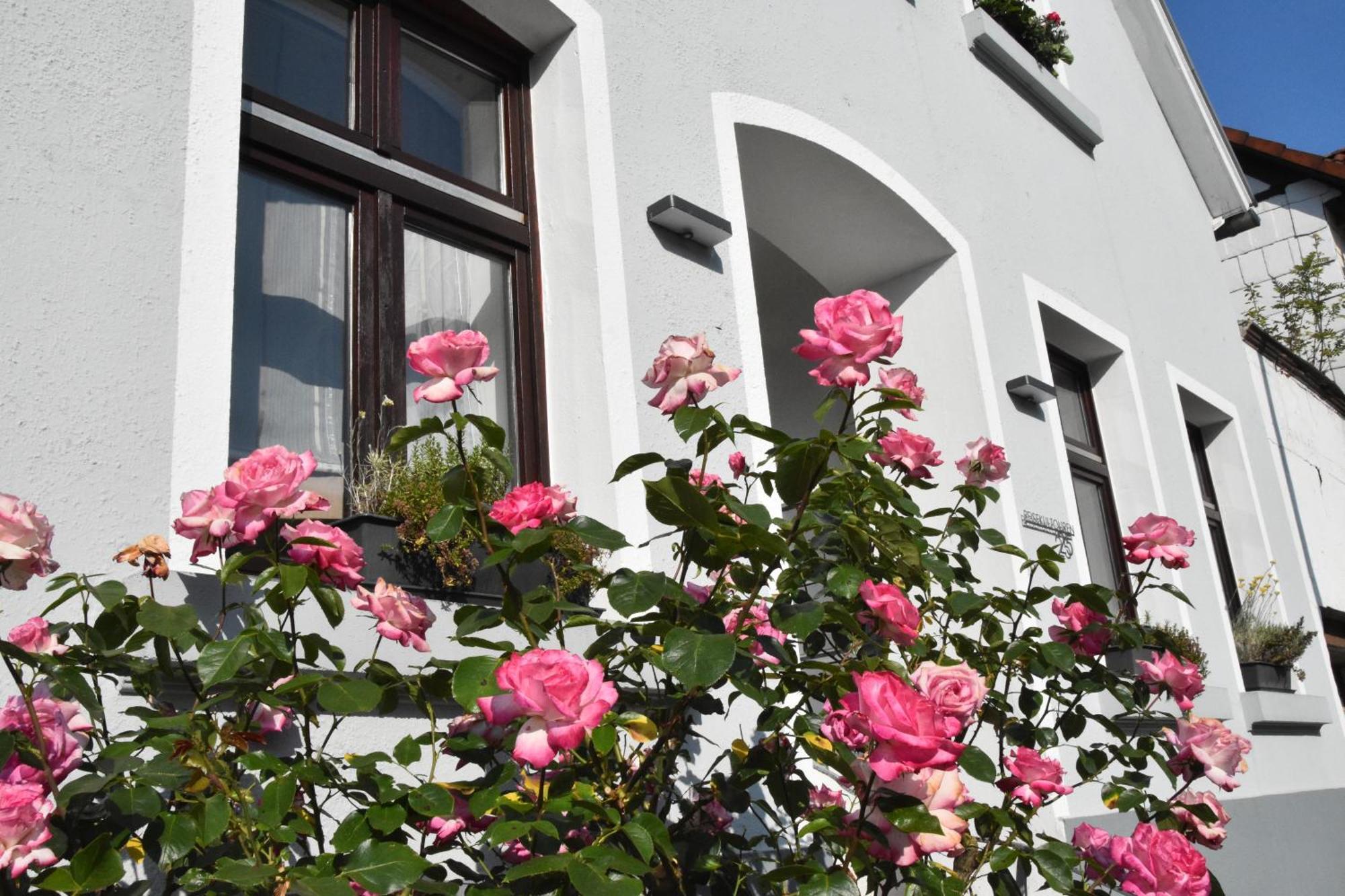 Reisekultouren Apartments Detmold Esterno foto